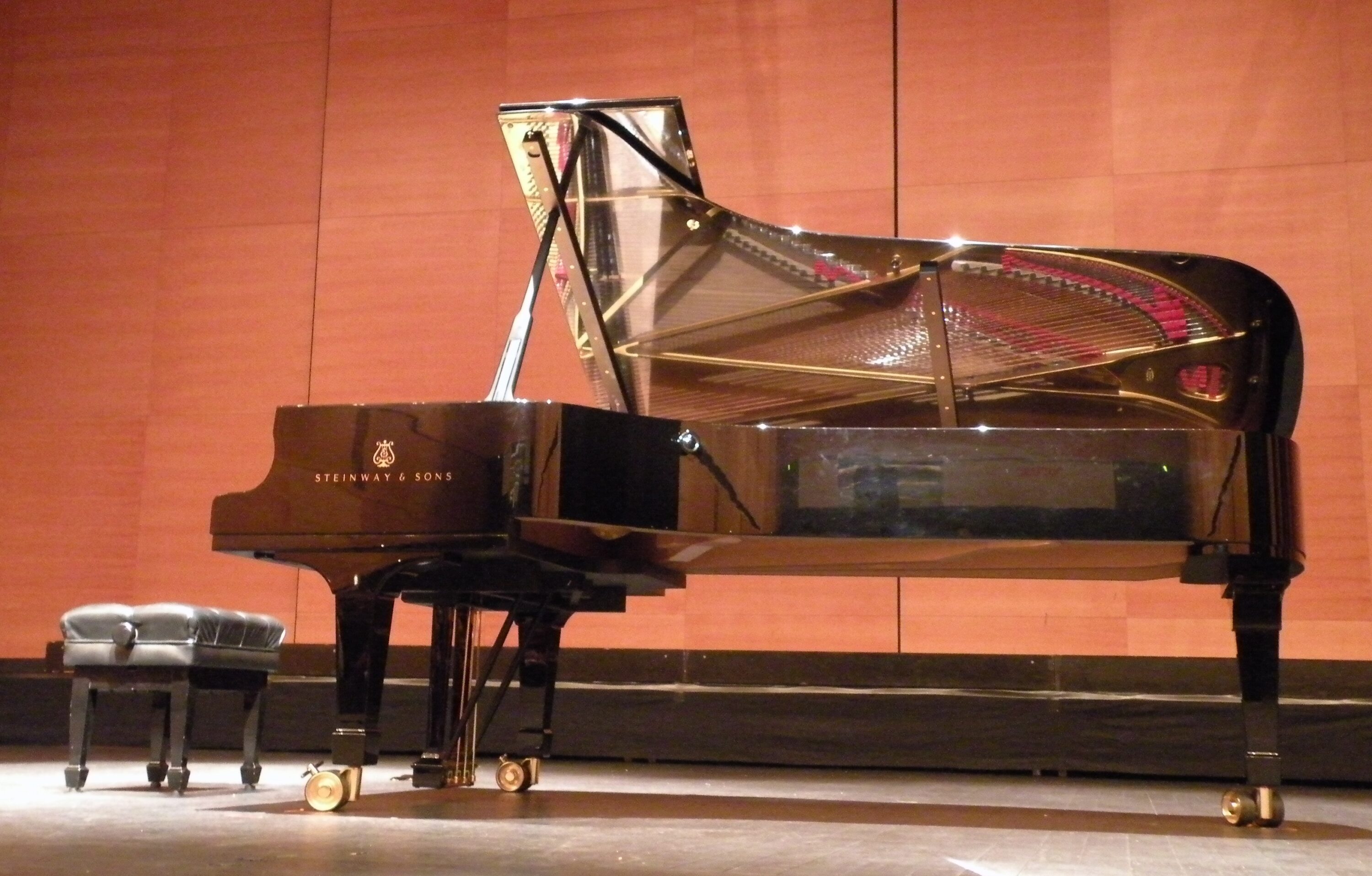 MOdel D 2