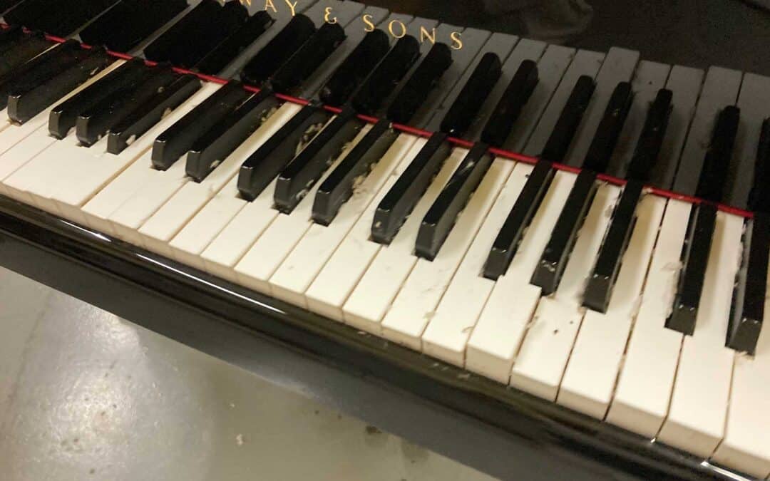 Humidity’s Silent Harm: Preventing Structural Damage in Pianos